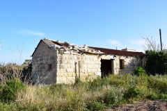 san-pietru7
